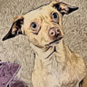 Meet your Posher, Sputnik